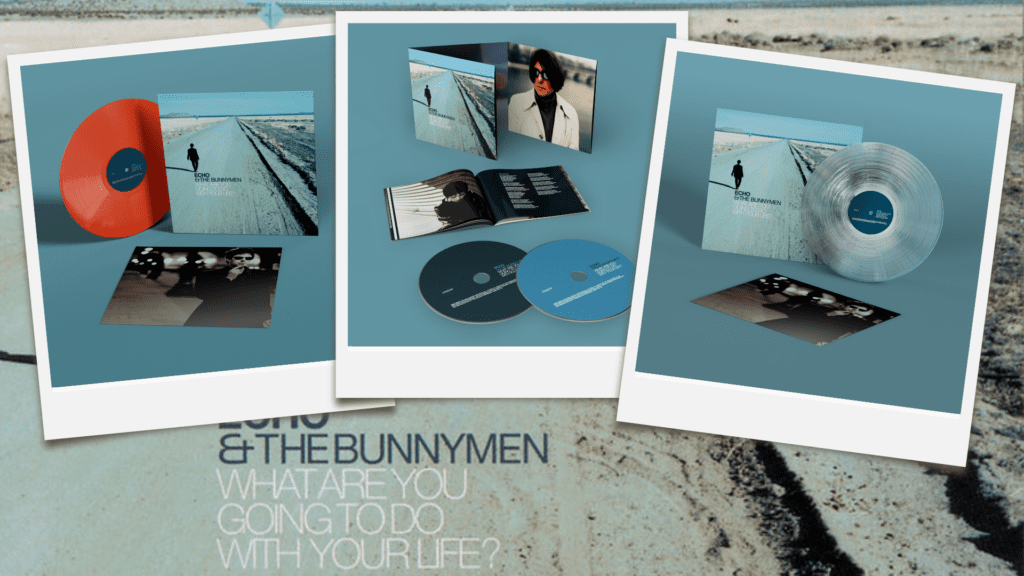 Echo & The Bunnymen What Are You Going 